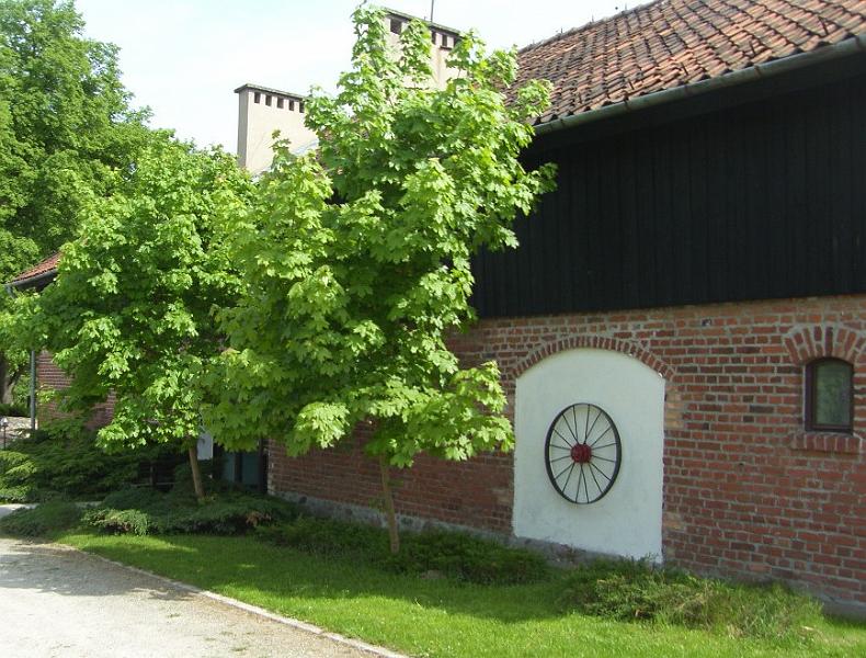 SH104773.JPG