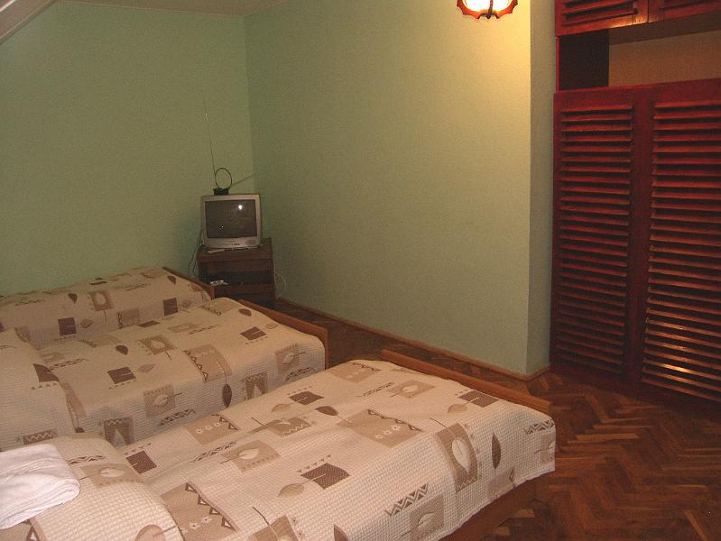 SH100226.JPG
