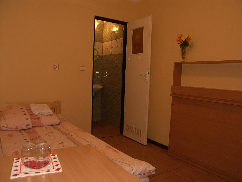 SH100310.JPG